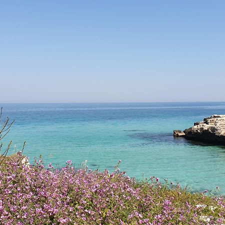 Casa Di Nonna Maria Διαμέρισμα Monopoli Εξωτερικό φωτογραφία