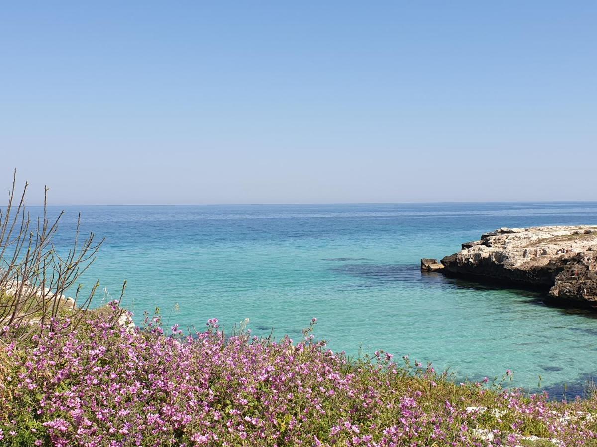 Casa Di Nonna Maria Διαμέρισμα Monopoli Εξωτερικό φωτογραφία